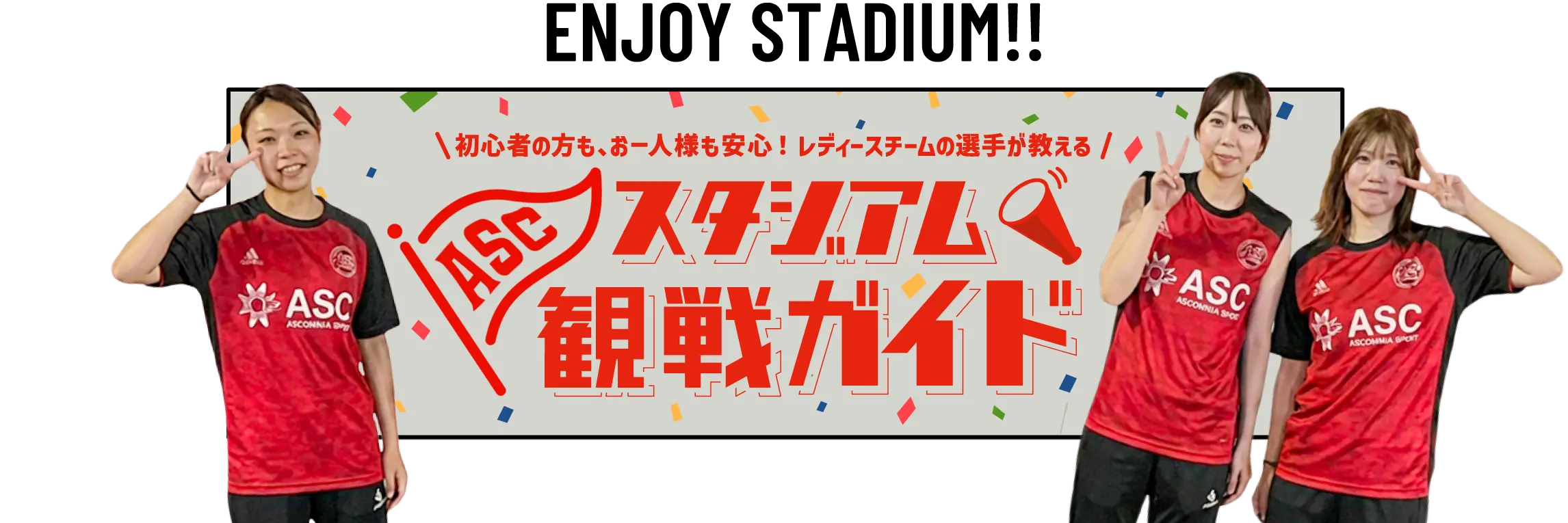 スタジアム観戦ガイド